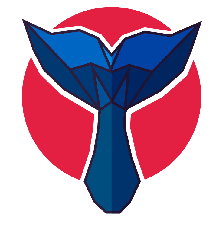 Biblioteca de V�deos_4�ano_GABARITO COMENTADO